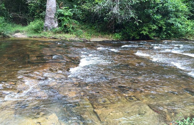 1000 Lingas river