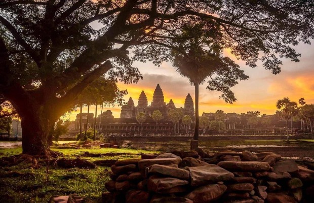 Angkor wat jungle templ