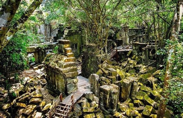 Jungle forest in Beng Mealea temple