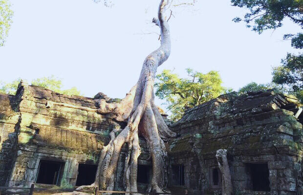 Ta Prohm Temple